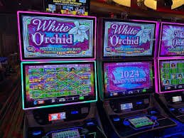 aseantogel featured game showcase